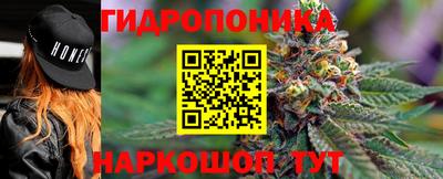 мяу мяу мука Жуковский