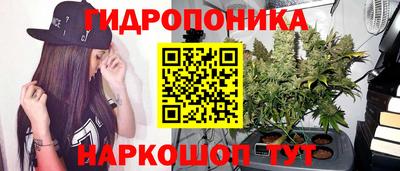 мяу мяу мука Жуковский